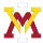 VMI Logo