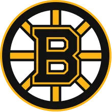 Boston Bruins Logo