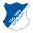 Hoffenheim Logo